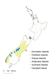 Veronica birleyi distribution map based on databased records at AK, CHR & WELT.
 Image: K.Boardman © Landcare Research 2022 CC-BY 4.0